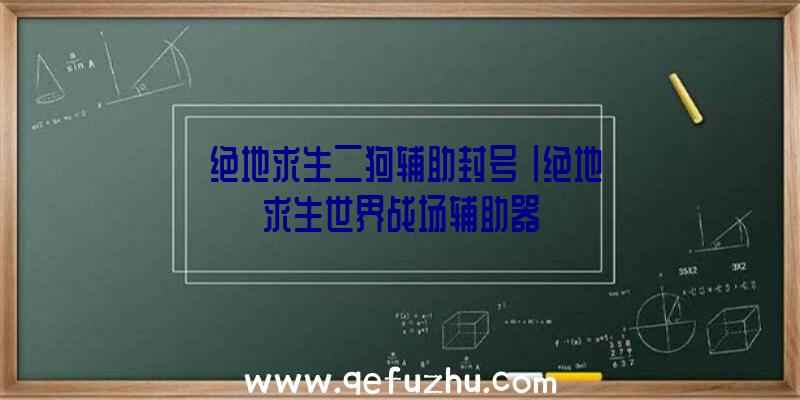 「绝地求生二狗辅助封号」|绝地求生世界战场辅助器